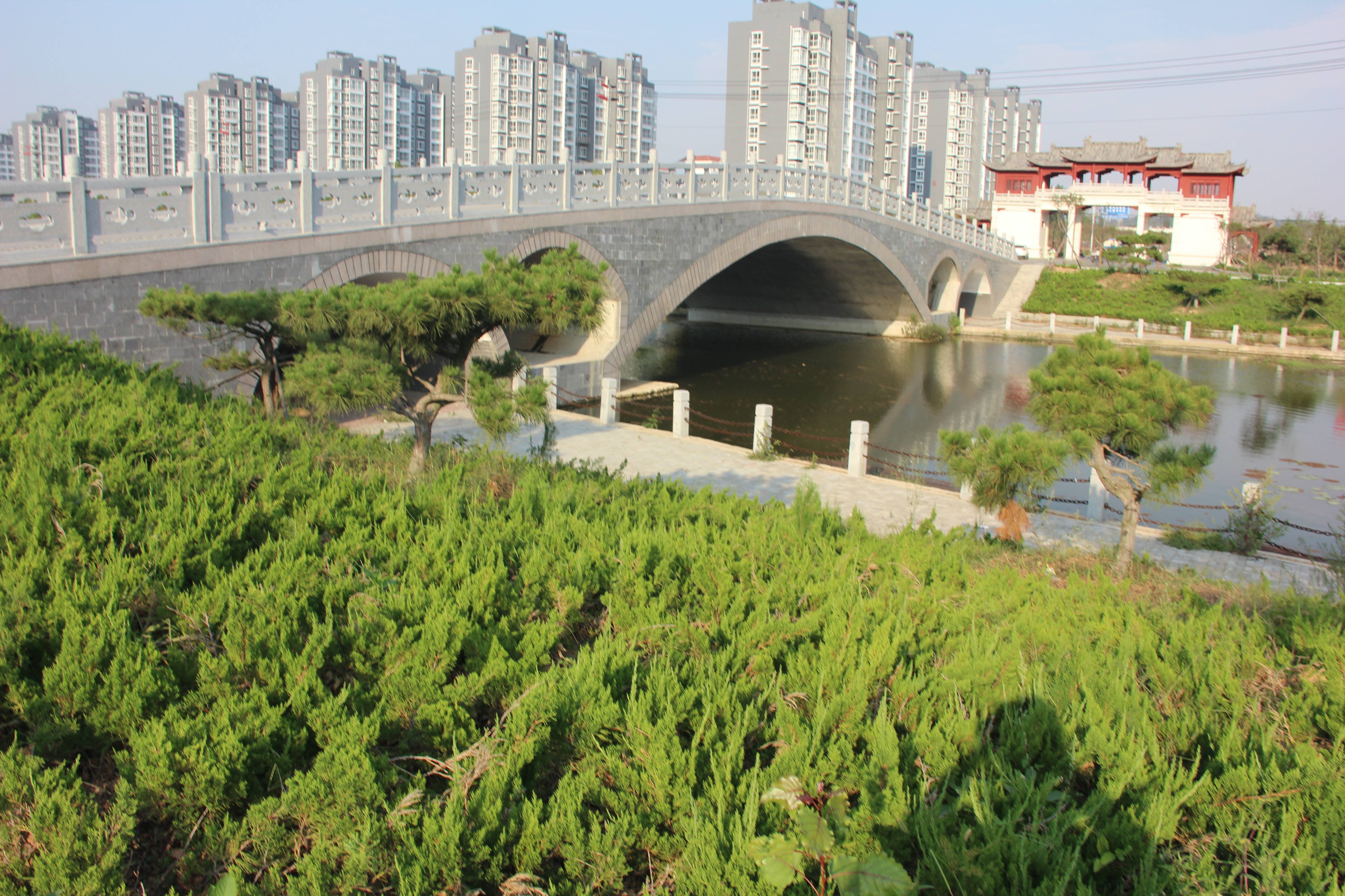 金龙河桥（2）.JPG