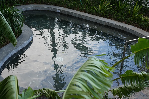 1762412851564047.jpg DSC03784.JPG